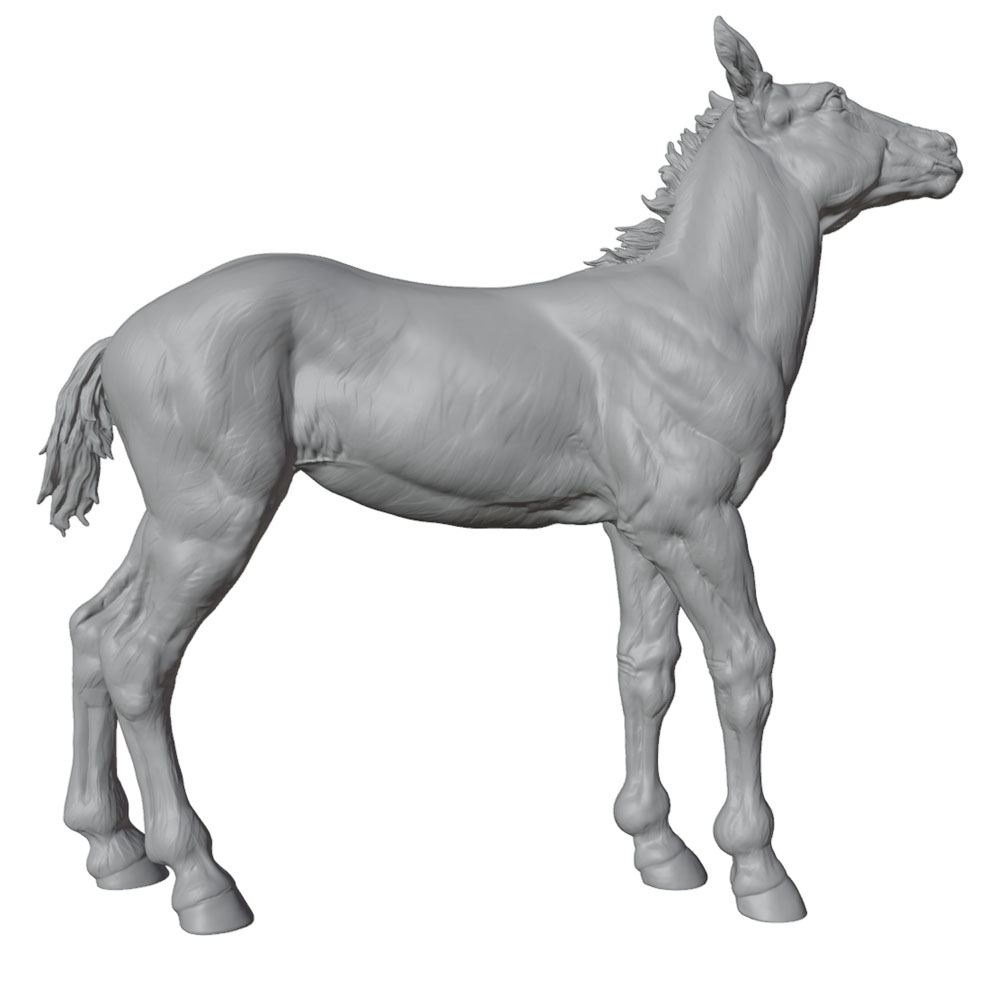High-Detail Printing, Realisti - 3D Printing And Additive Manufacturing recension och pris